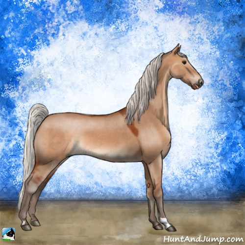 Horse Color:Silver Brown Dun 