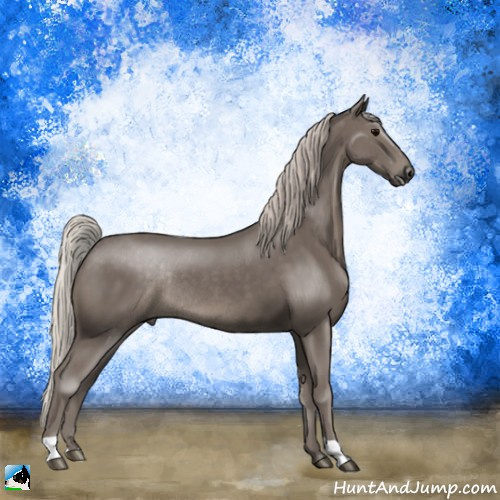 Horse Color:Silver Black Rabicano 