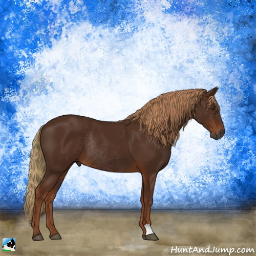 Horse Color:Gray Chestnut Rabicano 