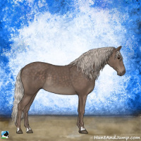 Horse Color:Silver Black Rabicano 