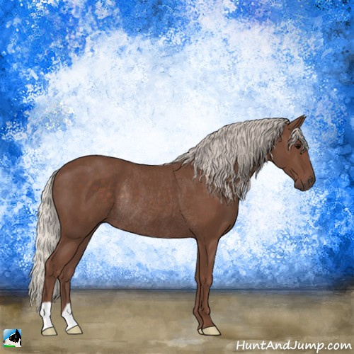 Horse Color:Silver Black Rabicano 