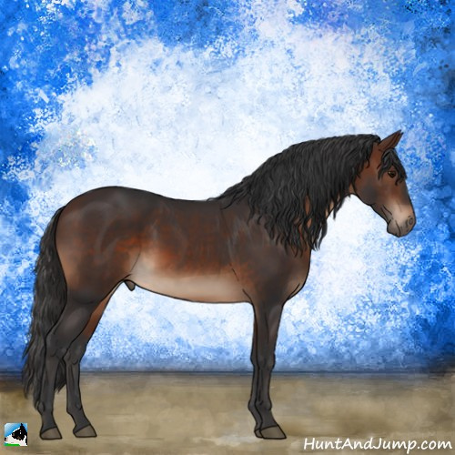 Horse Color:Brown Rabicano 