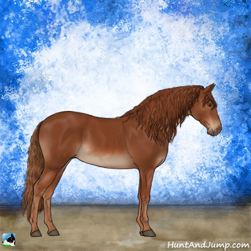 Horse Color:Chestnut Rabicano