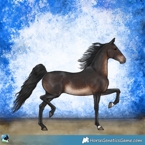 Horse Color:Brown Rabicano