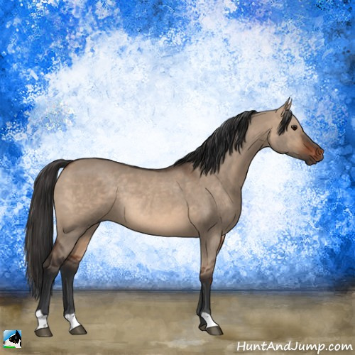 Horse Color:Brown Dun Rabicano 