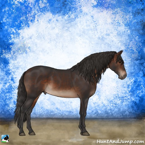 Horse Color:Brown Rabicano 