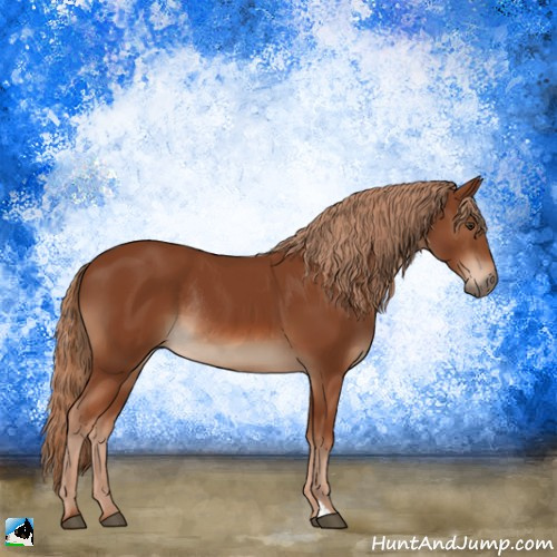 Horse Color:Chestnut Rabicano 