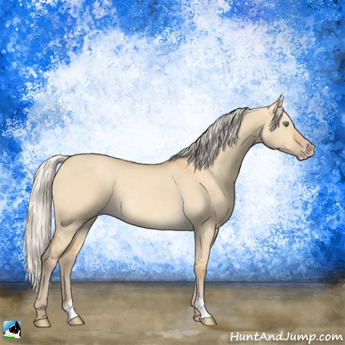 Horse Color:Silver Sable Cream Champagne Dun Rabicano 