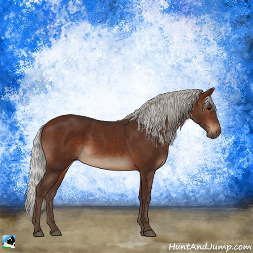 Horse Color:Silver Brown Rabicano 