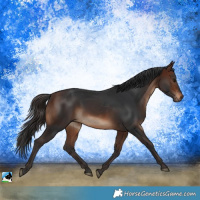 Horse Color:Brown Rabicano