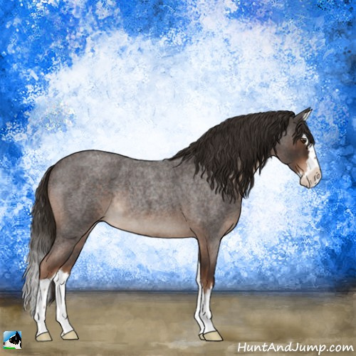 Horse Color:Liver Red Roan Splash Rabicano 