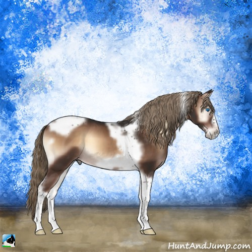 Horse Color:Liver Red Onyx Tobiano Frame 