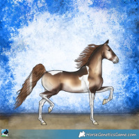 Horse Color:Liver Red Onyx Tobiano