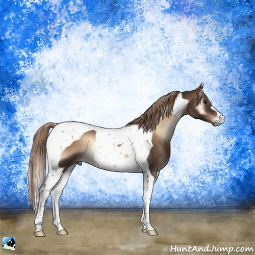 Horse Color:Liver Red Onyx Tobiano 