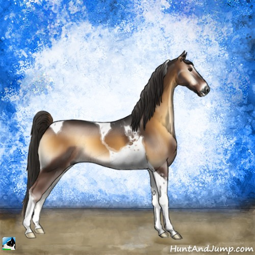 Horse Color:Gray Liver Red Onyx Tobiano 