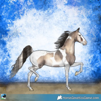 Horse Color:Liver Red Onyx Roan Splash Tobiano 