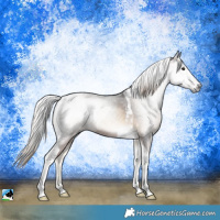 Horse Color:Gray Liver Red Onyx Tobiano 