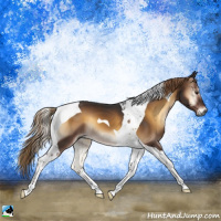 Horse Color:Gray Liver Red Onyx Tobiano