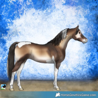 Horse Color:Liver Red Onyx Tobiano 