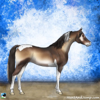 Horse Color:Liver Red Onyx Tobiano 