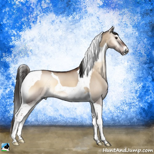 Horse Color:Liver Red Dun Onyx Tobiano 