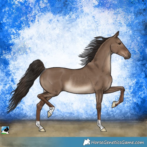 Horse Color:Liver Red Dun Rabicano