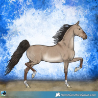 Horse Color:Liver Red Dun Rabicano 