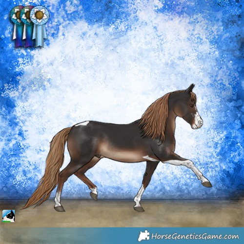 Horse Color:Liver Chestnut Sabino Tobiano Rabicano 