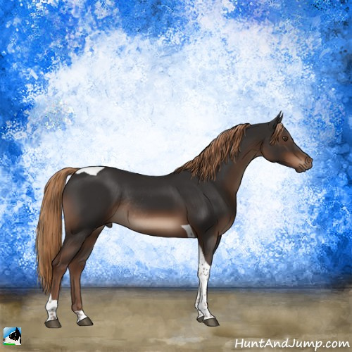 Horse Color:Liver Chestnut Sabino Tobiano Rabicano 