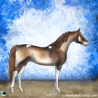 Horse Color:Liver Red Onyx Tobiano 