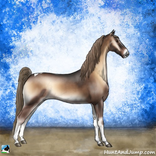 Horse Color:Liver Red Onyx Tobiano Rabicano 