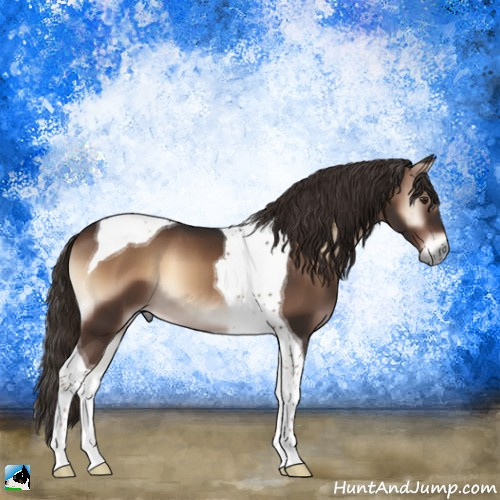 Horse Color:Liver Red Onyx Tobiano 