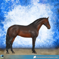Horse Color:Bay Rabicano 