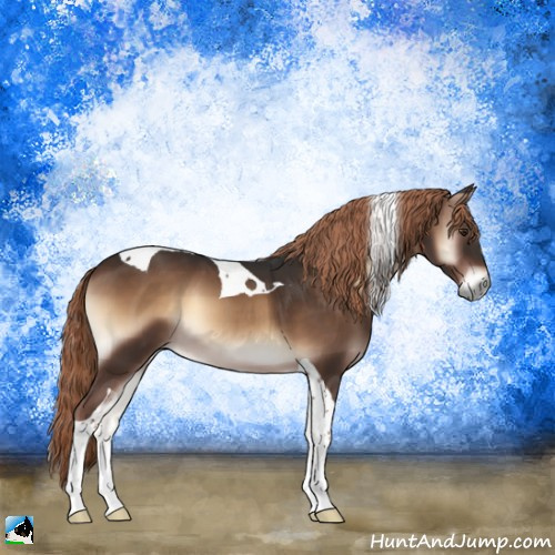 Horse Color:Liver Red Onyx Tobiano 