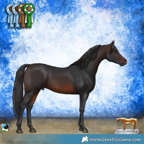 Horse Color:Brown Rabicano 