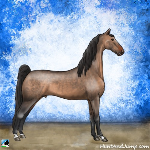 Horse Color:Brown Dun Rabicano 