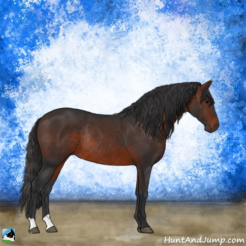 Horse Color:Brown Rabicano 