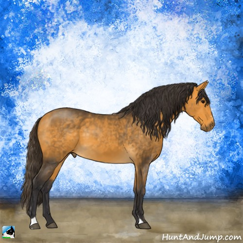 Horse Color:Buckskin Sabino Rabicano 