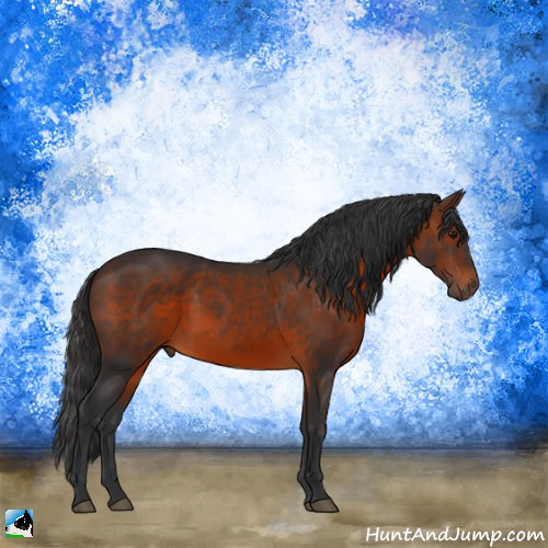 Horse Color:Brown Rabicano 