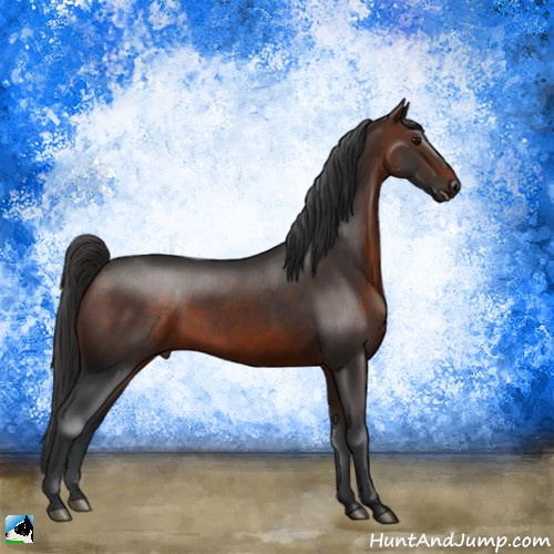Horse Color:Brown Rabicano 
