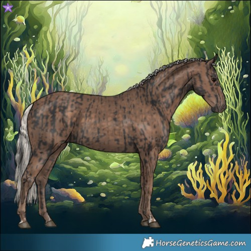 Horse Color:Black and Silver Black