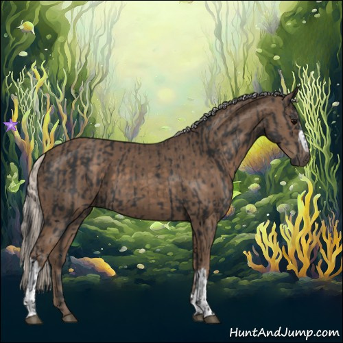 Horse Color:Black  and Silver Black 