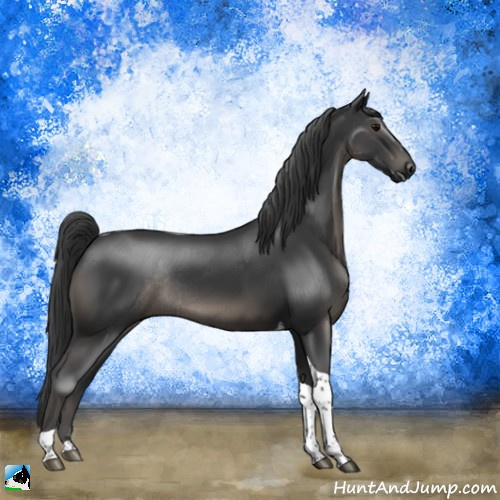 Horse Color:Black Tobiano Rabicano 