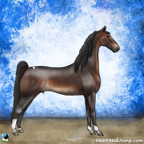 Horse Color:Brown Tobiano Rabicano 