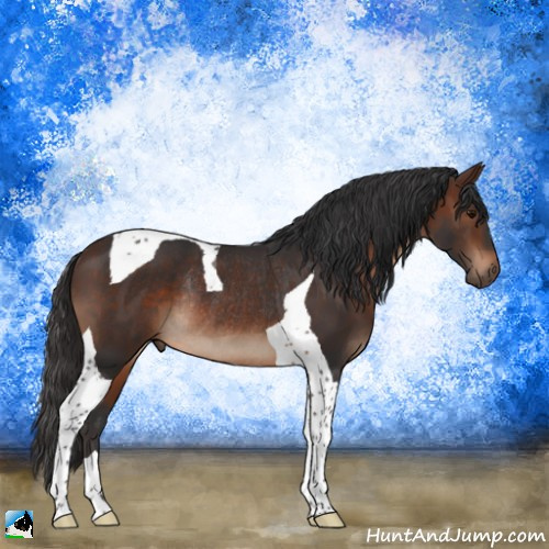 Horse Color:Brown Tobiano Rabicano 