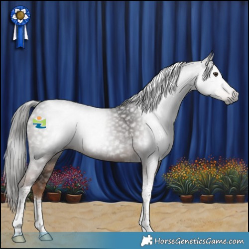 Horse Color:Gray Liver Chestnut Tobiano 