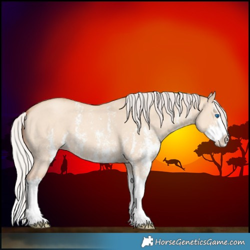 Horse Color:Silver Amber Champagne Dun Sabino Splash 