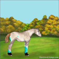 Horse Color:Liver Red Onyx Ice Pearl 