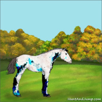 Horse Color:White Spotted Brown Ice Onyx