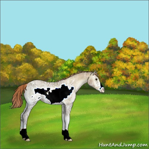 Horse Color:Liver Red Onyx Ice Pearl Frame 